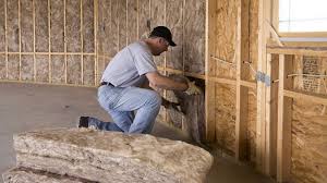 Best Blown-In Insulation  in Duson, LA