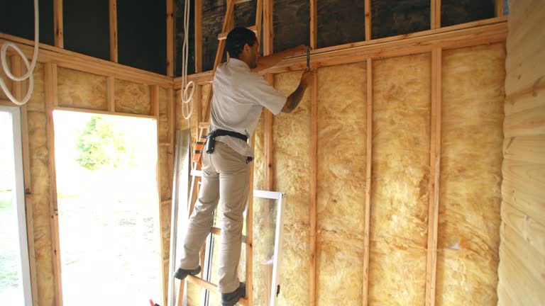 Best Eco-Friendly or Green Insulation Solutions  in Duson, LA