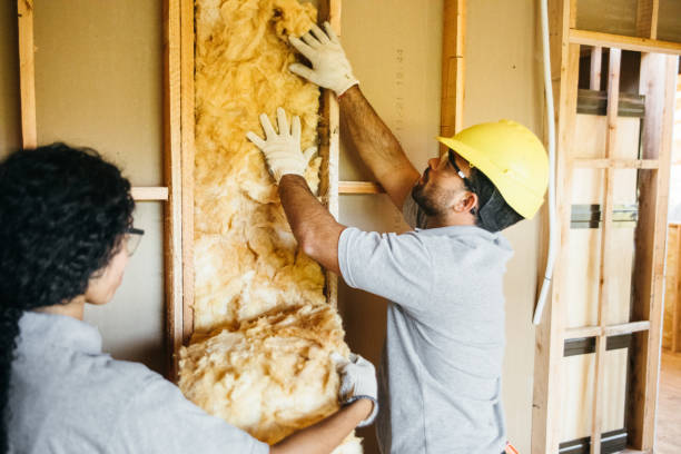 Best Attic Insulation Installation  in Duson, LA